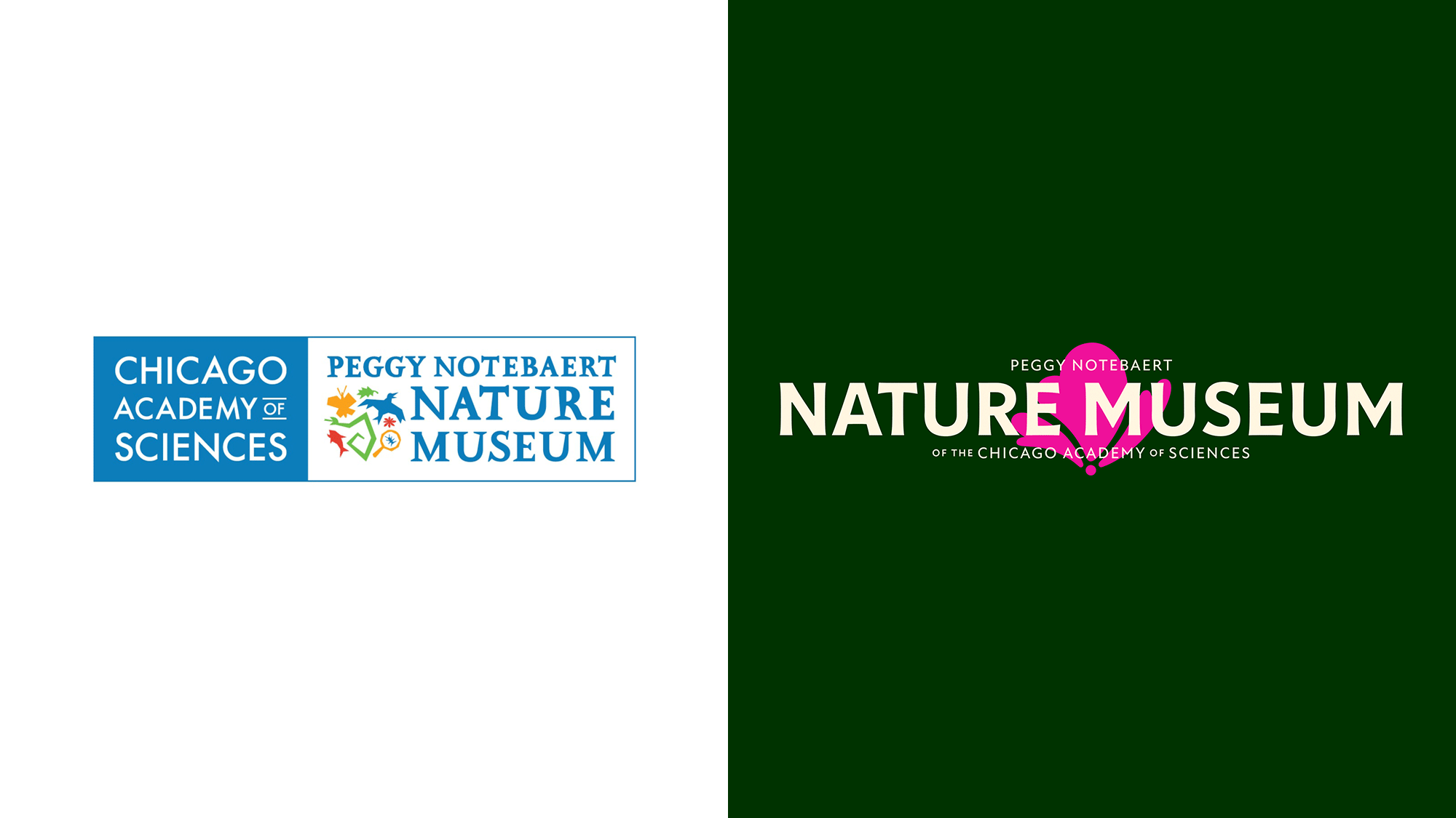 自然博物館的品牌重生：以VI設(shè)計(jì)煥發(fā)新生機(jī)