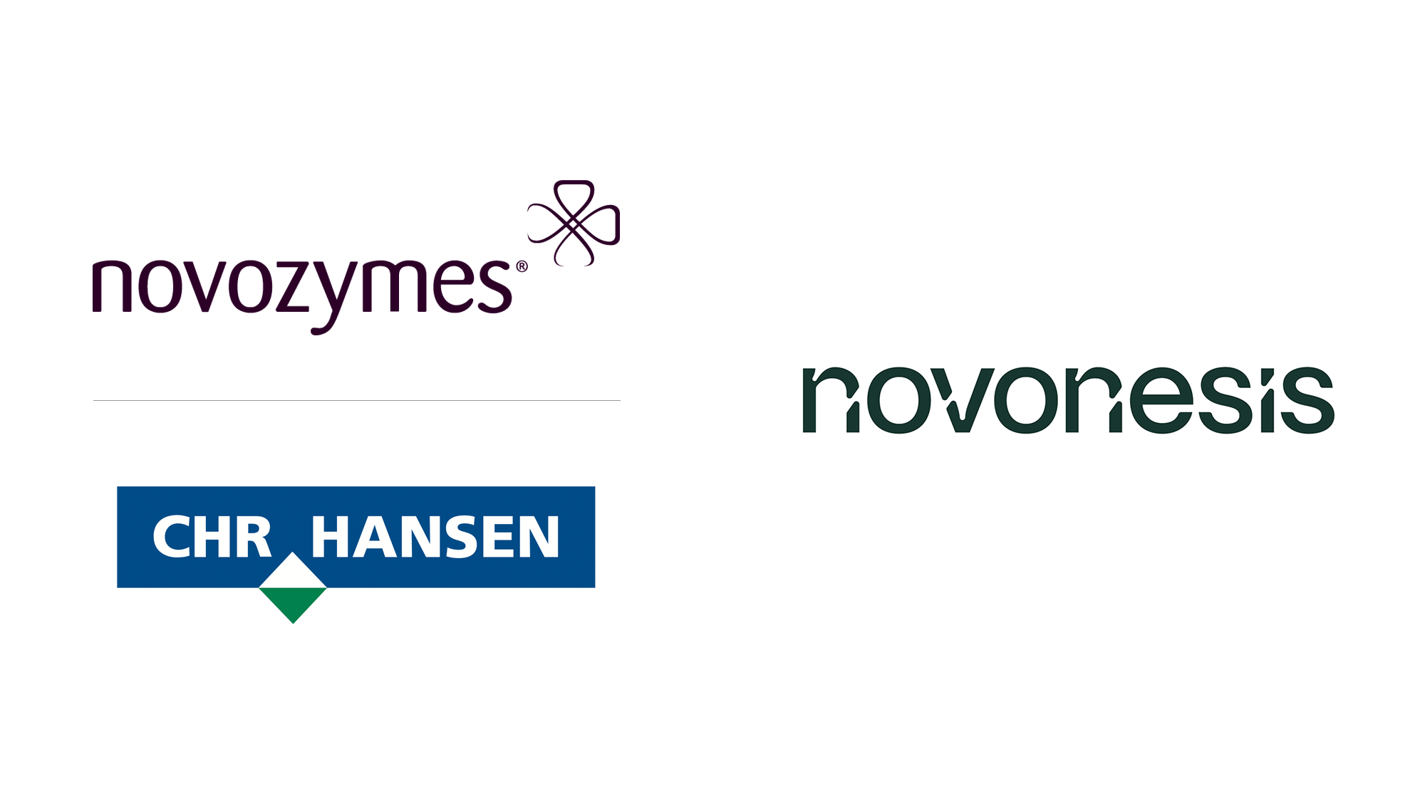 革新品牌形象：Novonesis的品牌設(shè)計(jì)之旅