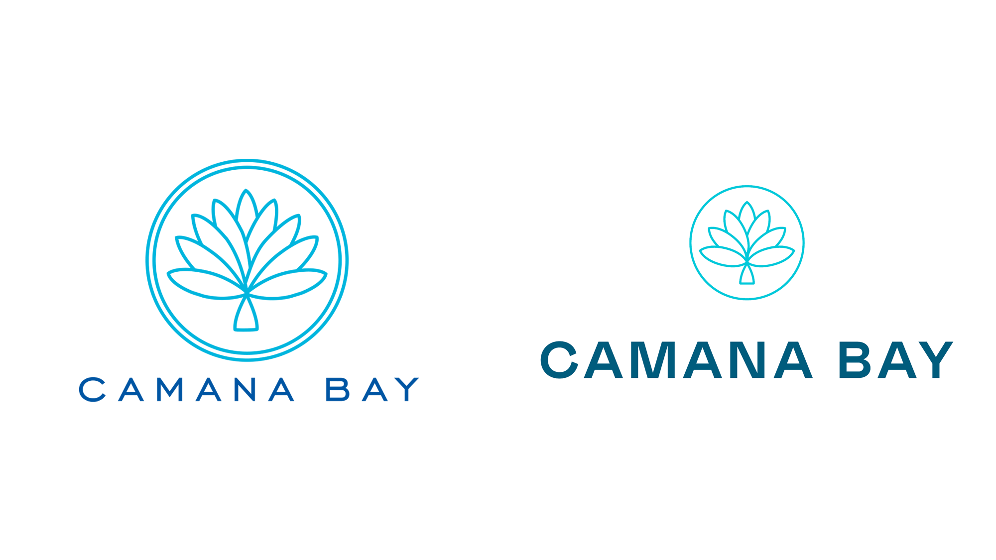 重塑品牌魅力：卡馬納灣的品牌設(shè)計(jì)與視覺(jué)識(shí)別升級(jí)