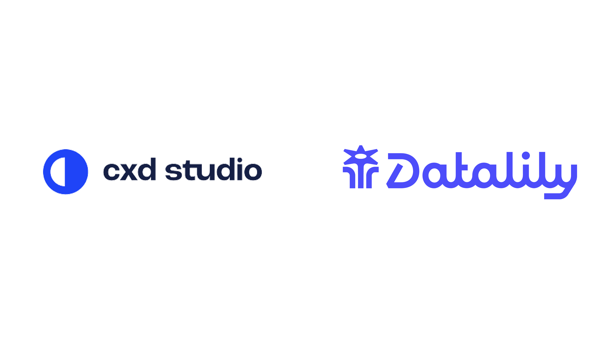 Datalily品牌形象設計大揭秘：數據與創(chuàng)意的完美融合