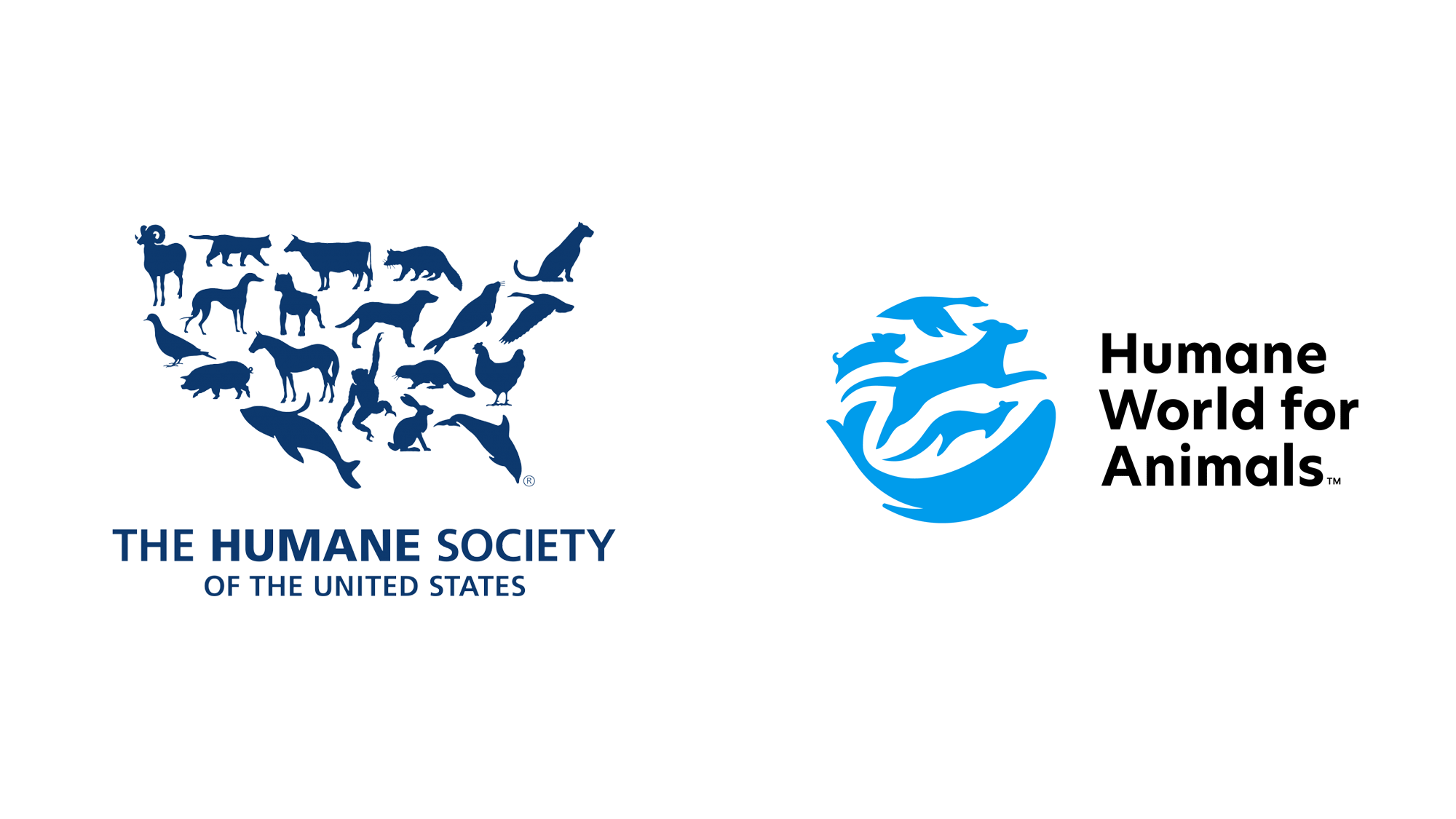 動物保護組織Humane World for Animals品牌形象設計升級案例解析