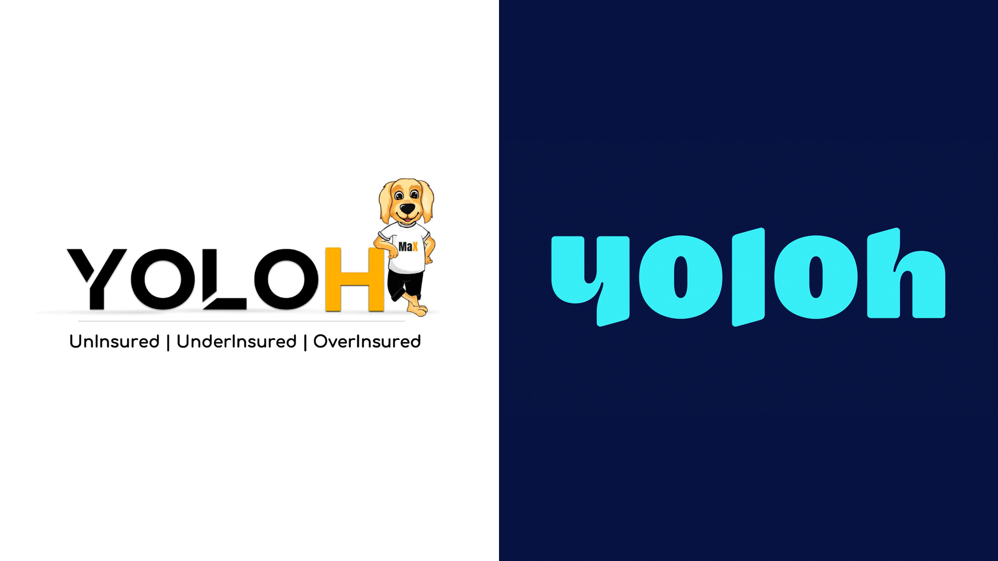 保險(xiǎn)業(yè)VI設(shè)計(jì)革新：Yoloh如何以vi設(shè)計(jì)重塑行業(yè)形象